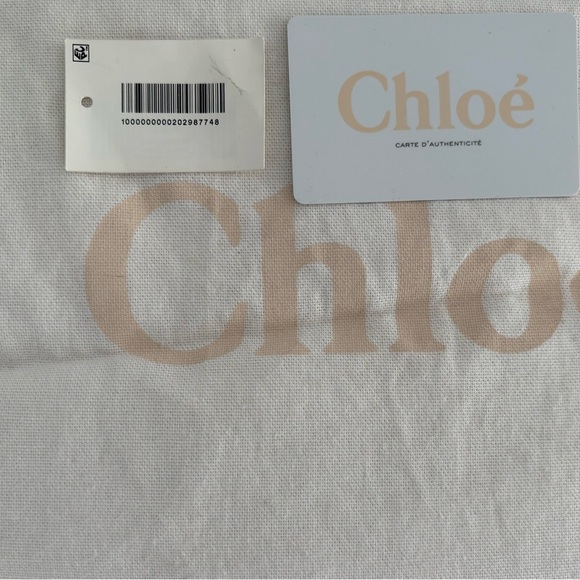 Chloe Lexa Crossbody Medium Bag Beige Suede - Picture 10 of 12